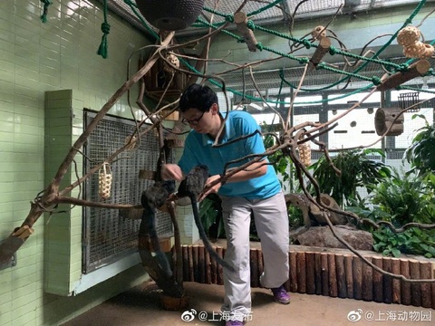 上海动物园灵长三馆二楼的赤掌柽柳猴展厅 第1页