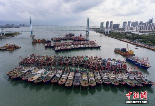 受台风“海高斯”影响 琼州海峡全线停航(5) 第5页