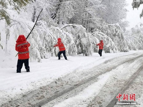 漠河迎入秋最大降雪 雪深超10厘米(5) 第5页