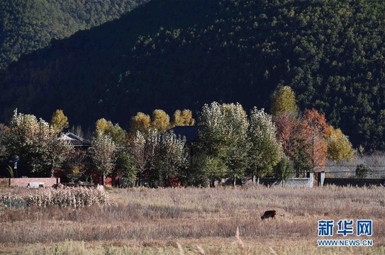 高清图丨云南丽江:泸沽湖景色惹人醉(4) 第4页