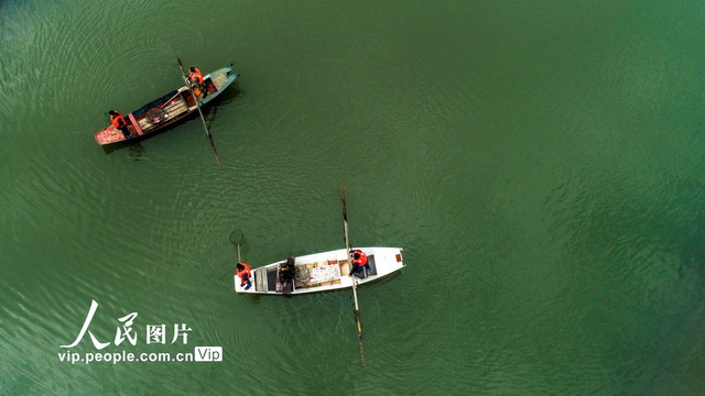 江西峡江:清理河道 守护美丽家园(2) 第2页