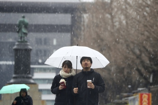 东京三月降雪 城市行人鲜少(4) 第4页