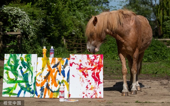 英国“学霸”马创作多幅“抽象画” 色彩斑斓令人惊叹 第1页