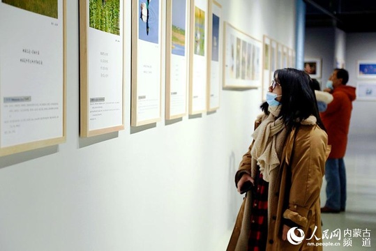 “大美乌梁素海·鸟类生态艺术作品展”正式开展 第1页