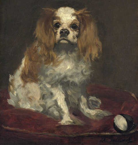 马奈-A King Charles Spaniel (Detail) 第1页