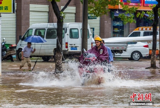 江西武宁普降暴雨 低洼地段积水农田被淹(4) 第4页