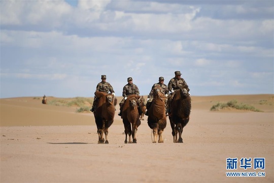 大漠驼兵--边防民兵驼兵排民兵进行应用训练(12) 第12页