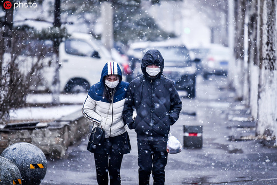 沈阳普降春雪(2) 第2页