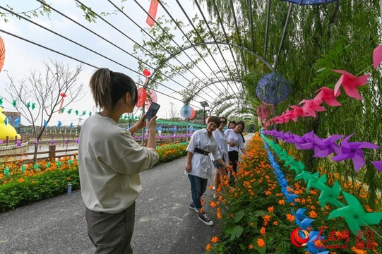 千种菊花等你来赏 湖州南浔第二届采菊东篱旅游文化节开幕(4) 第4页