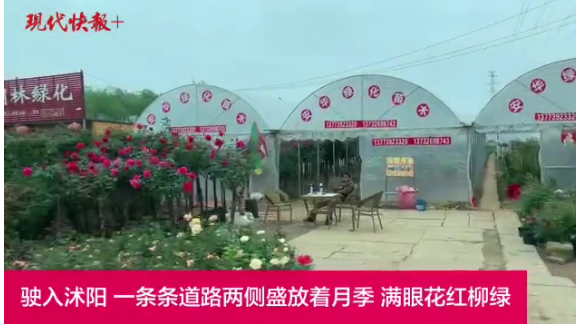 45岁“网红”大婶:直播卖花很火爆 第1页