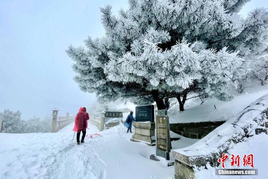 泰山迎辛丑年首雪 银装素裹宛若仙境 第1页