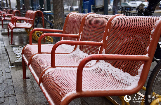 哈尔滨市迎来立冬后首场降雪 跟随镜头感受北国冰雪风光 第1页