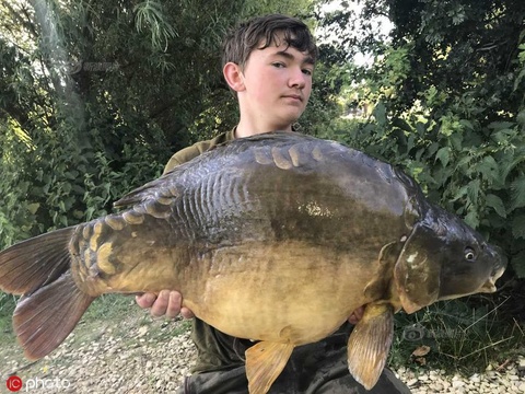 英国15岁男孩钓到24斤巨型鲤鱼 为近两个世纪最大 第1页
