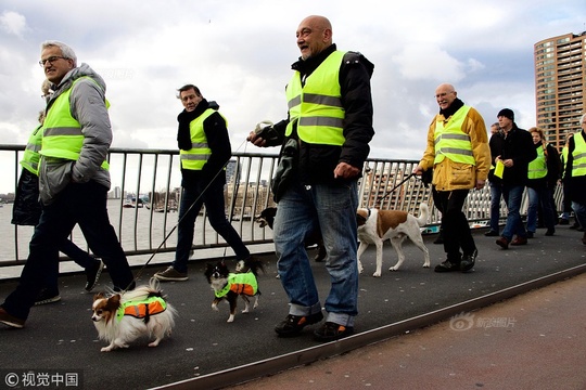 “黄背心”运动蔓延至荷兰 示威者牵狗上街抗议 第1页