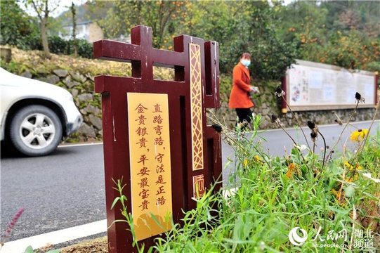 湖北夷陵:法治文化进乡村(7) 第7页