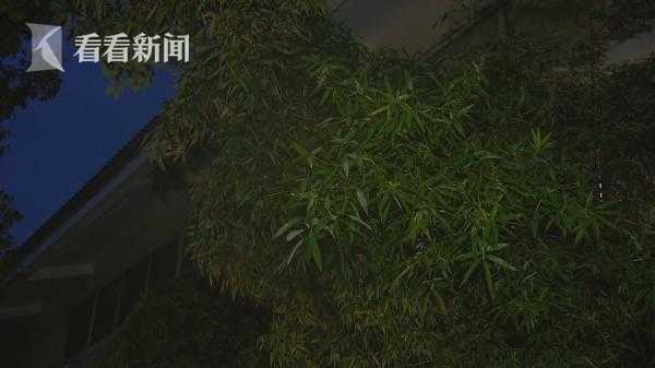 奉贤万人严阵以待彻夜未眠 6000人撤离平稳过夜(4) 第4页