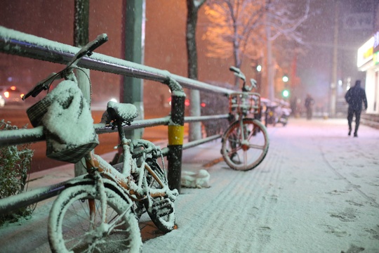 银装素裹 沈阳迎来入冬首场大规模降雪 第1页