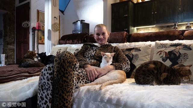 捷克妇女家中养14只猫科动物 打造大型“吸猫”圣地 第1页