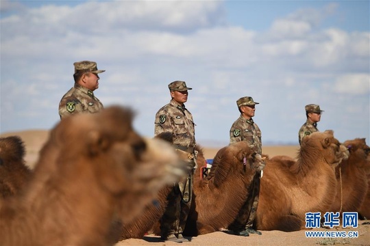 大漠驼兵--边防民兵驼兵排民兵进行应用训练(6) 第6页