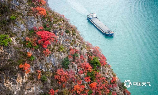 重庆奉节瞿塘:冬日游三峡 红叶醉满城(10) 第10页