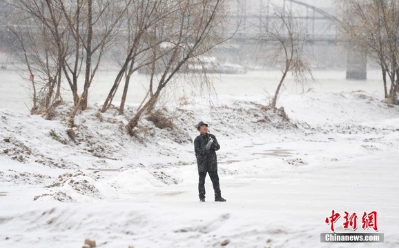 兰州市民雪中放风筝 第1页