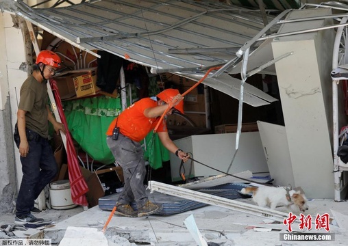 菲律宾强震致房屋倒塌 上百人或被埋超市 第1页