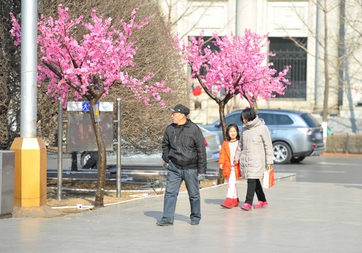 “塑料桃花”点缀沈阳街头 引市民欣赏(4) 第4页