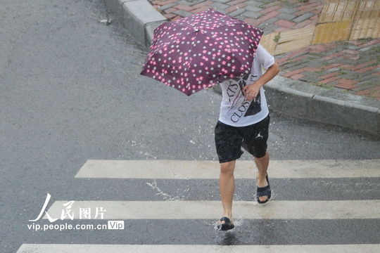 大连市遭遇雷雨大风天气(2) 第2页