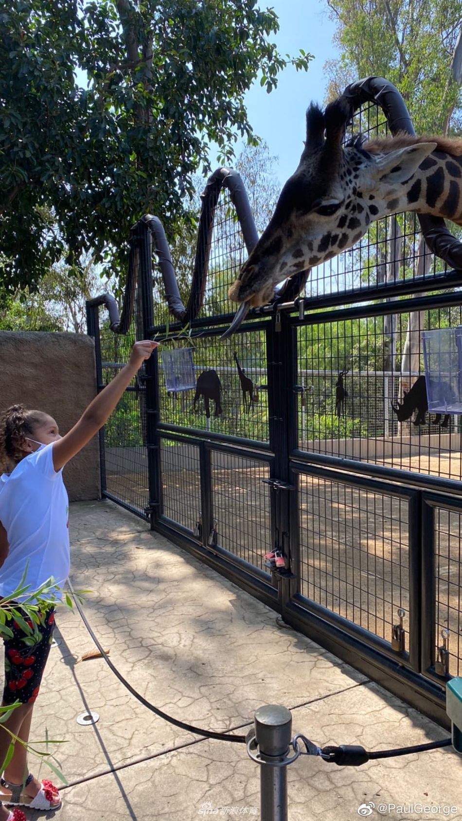 保罗乔治带娃逛动物园享受休假时光