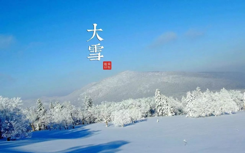 大雪时节的寂静美-GOGO社区