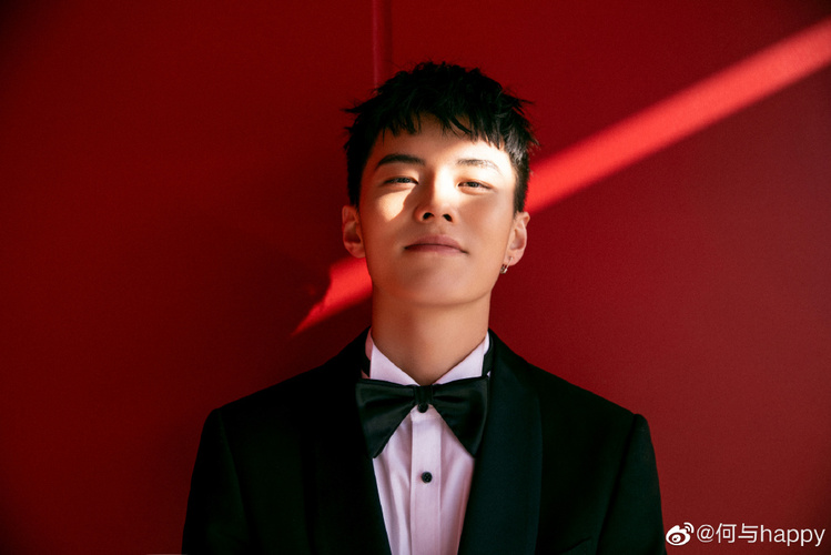 何与个人资料 明星何与简介 名人何与简历 