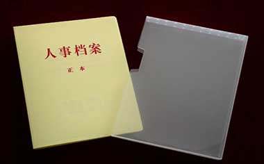 拘役缓刑案底几年消除