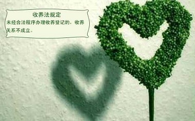 收养动物需要什么手续