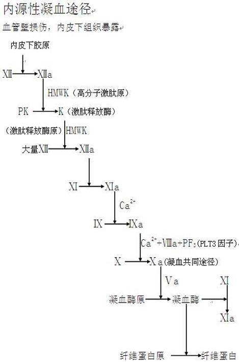 凝血 搜狗科学百科