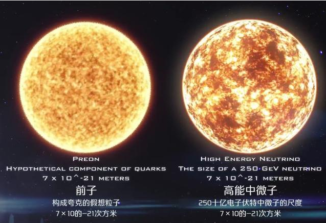 前子 - 搜狗科学百科