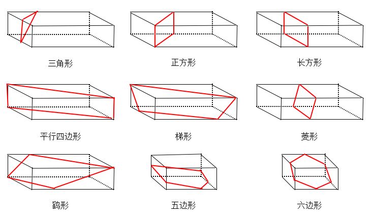 长方体 搜狗科学百科