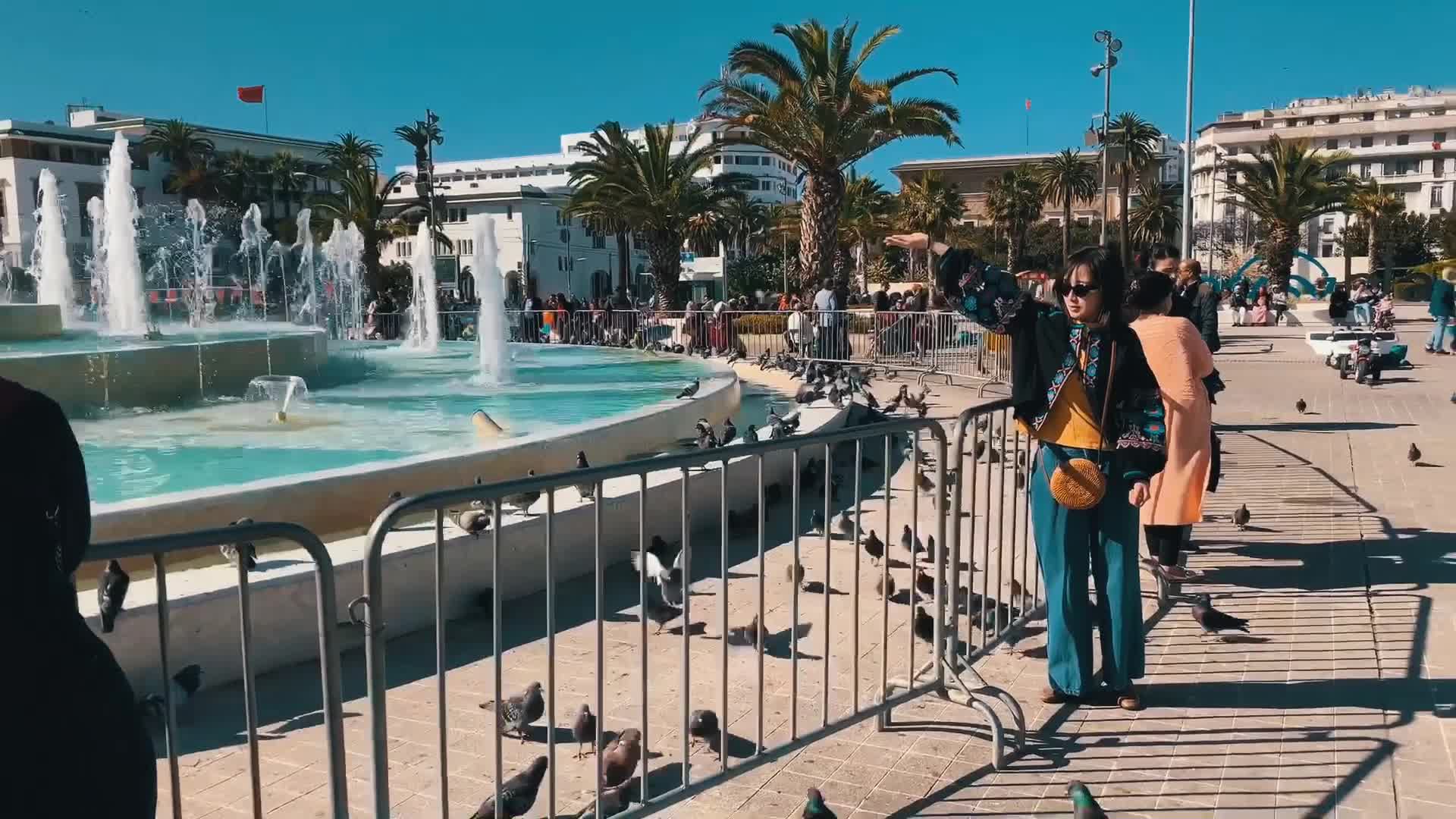 《世界多美丽》-旅游卫视-综艺节目全集-在线观看