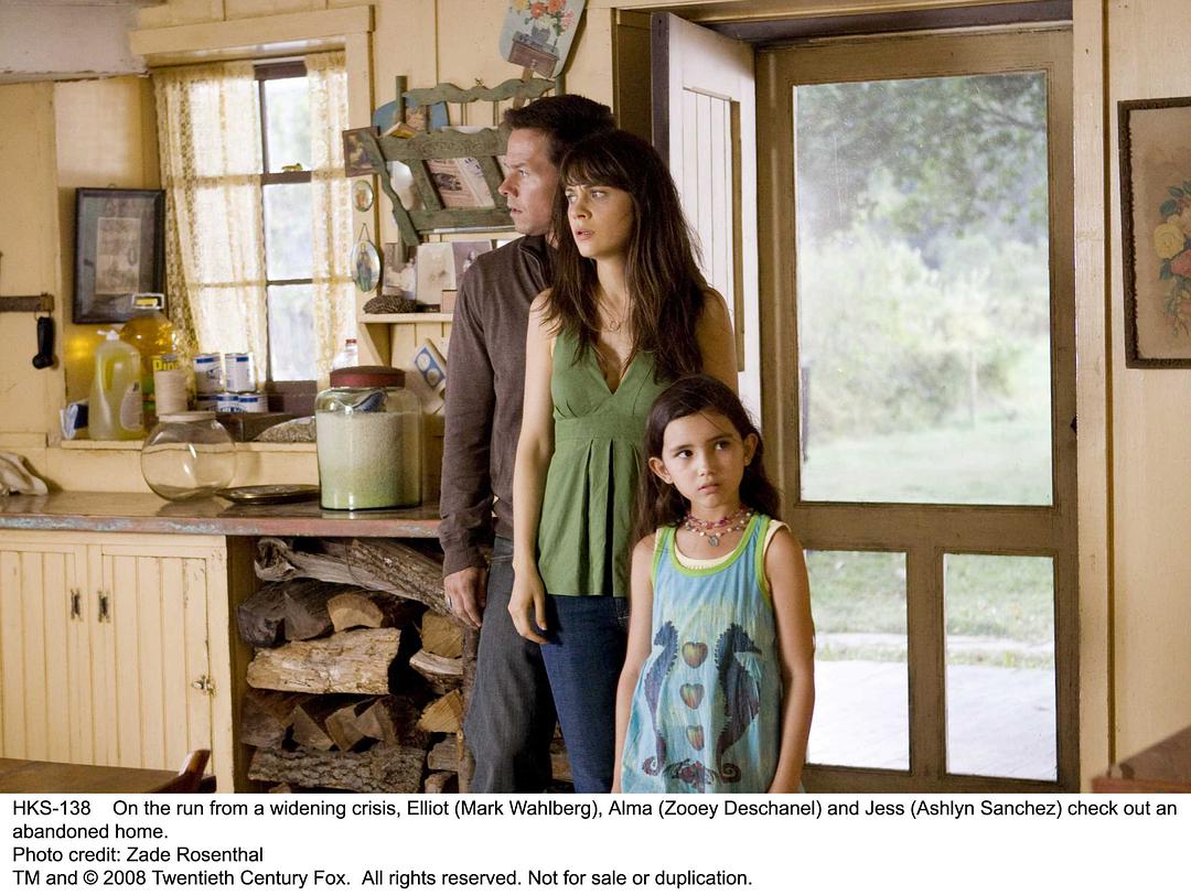 《灭顶之灾》全集-高清电影完整版-在线观看