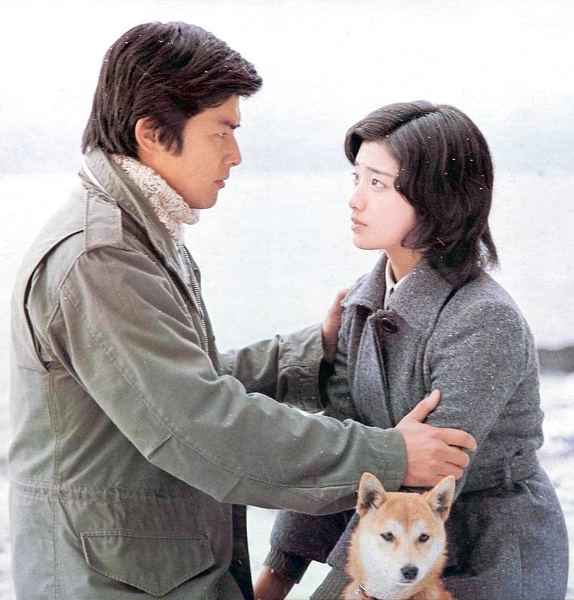 《血疑》全集-电视剧-在线观看