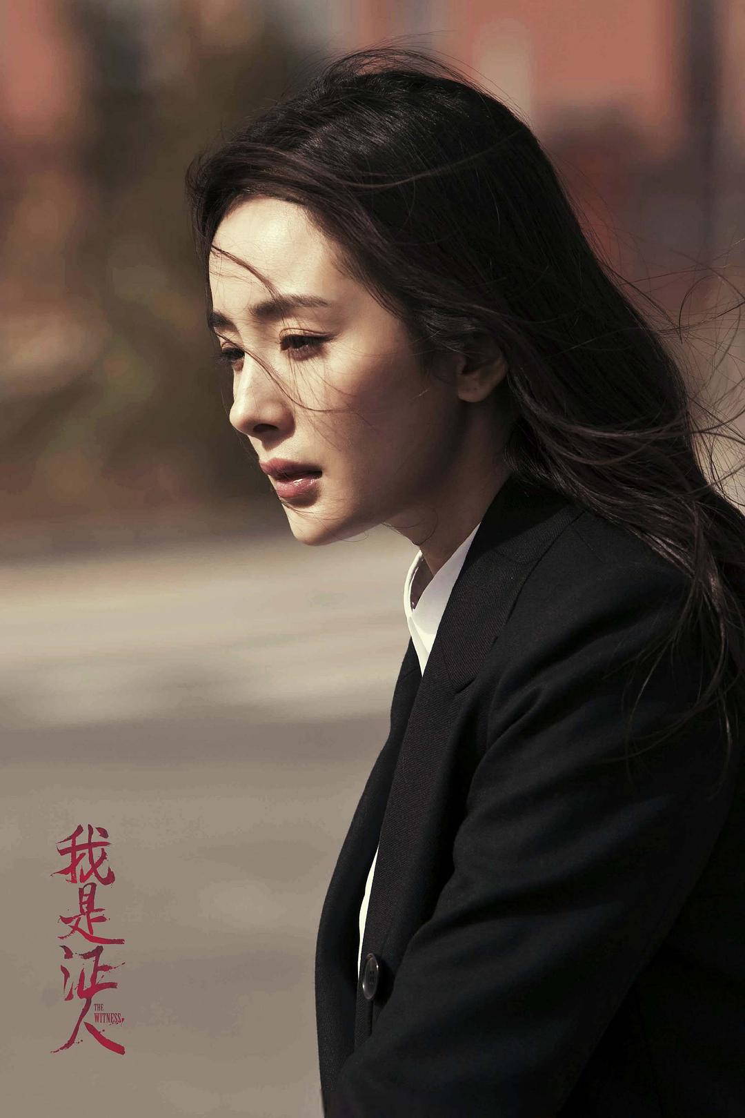 《我是证人》全集-高清电影完整版-在线观看