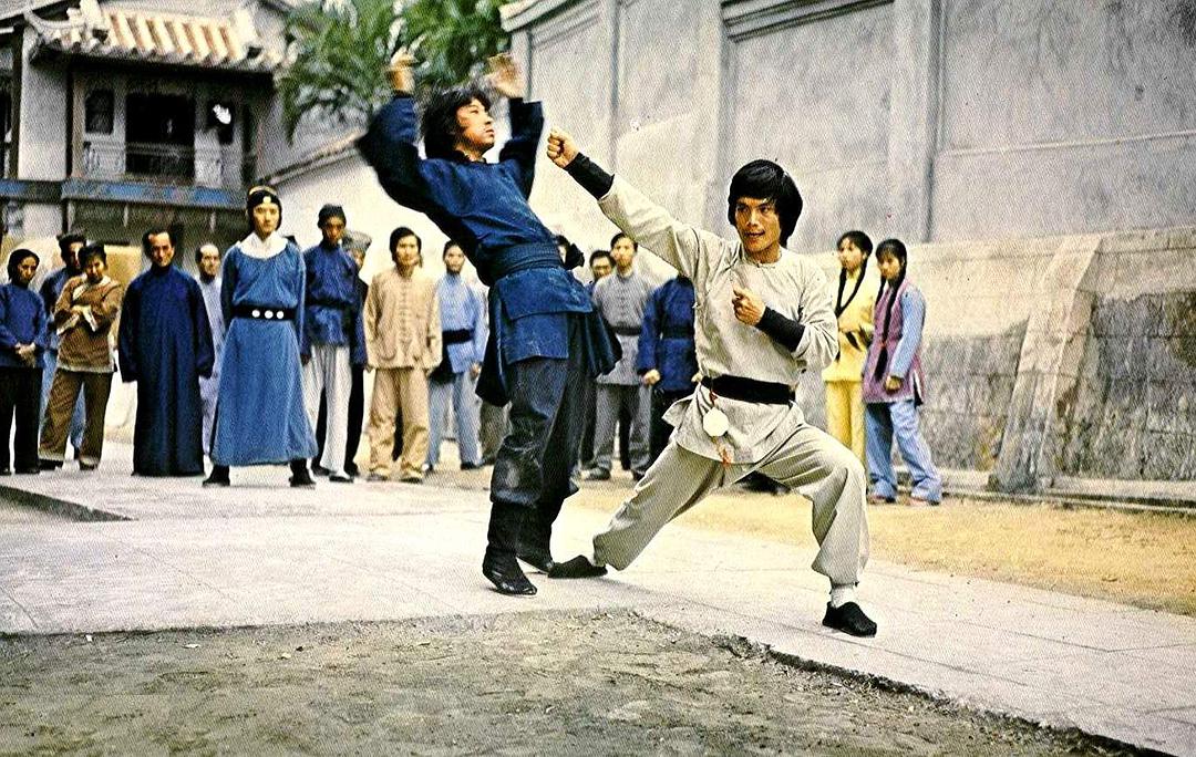 南拳北腿斗金狐