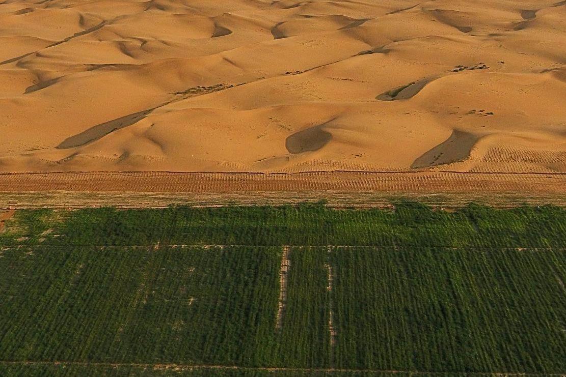 Самая большая по площади пустыня земли. Озеленение Саудовской Аравии. Озеленение пустыни в Саудовской Аравии. Озеленения пустыни Саудиа Аравия. Озеленение пустыни Кузупчи.