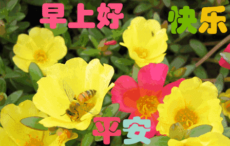 早上好问候祝福动态表情图片鼠年新年问候祝福语温馨句子