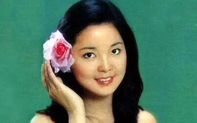 山茶花英文 搜狗搜索