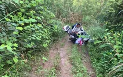 丛林探险 高清电影 完整版在线观看