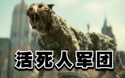 《死亡军团》-高清电影-完整版在线观看