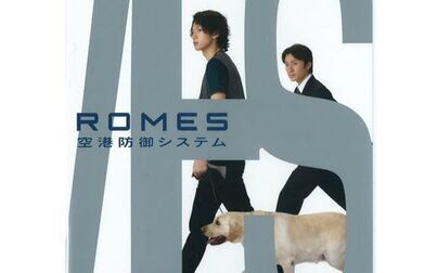 Romes机场防御系统 全集 电视剧 免费在线观看