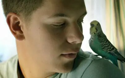 《幸运蓝》-高清电影-完整版在线观看