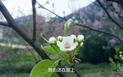 你的答案歌曲下载mp3 搜狗搜索