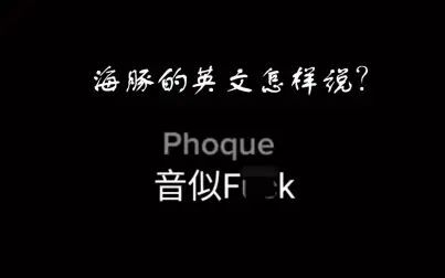 海豹的英文发音 搜狗搜索